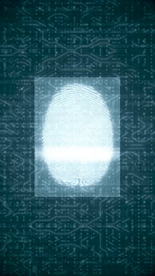 Animated Fingerprint Biometric Scan on Digital Circuit Background