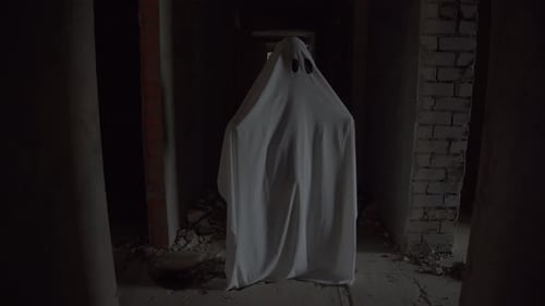 Ghost in a Derelict Building Standing Still
