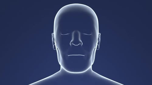 Human Head Scan with Particles Entering Nasal Cavity