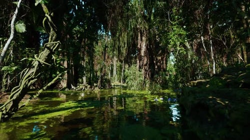 Immersive Nature Exploration Through a Serene Jungle River