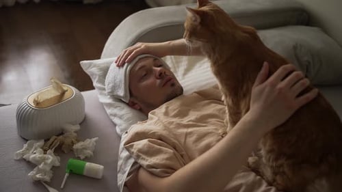 Ginger Cat Resting Beside Sick Owner Providing Comfort While Humidifier Running Used Tissues