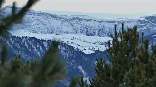 Snow-covered mountain range with pine trees in the foreground, creating a serene winter scene.