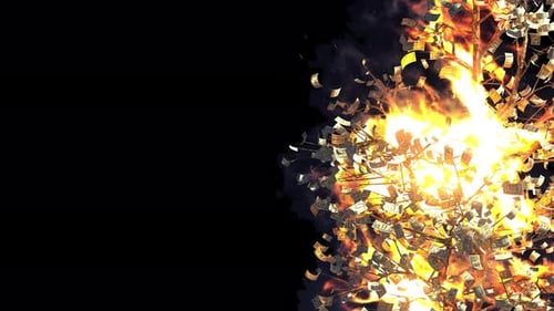 Money Tree Burning in Flames with Transparent Background