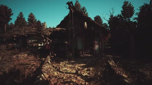 Secluded Woodland Shelter Old Rustic House in Shadowed Forest Clearing