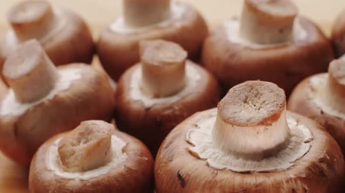 Freshly Picked Mushrooms on Home Kitchen Close Up Texture of Brown Champignon Woman Cooking Tasty