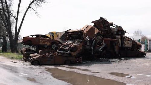 Burned Cars Car Cemetery Destruction Scene