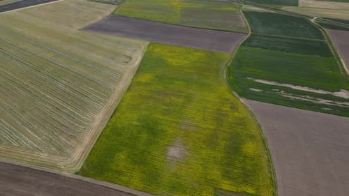 Terres agricoles