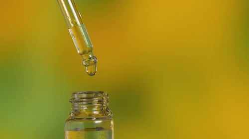 Gotas de óleo de essência orgânica de ervas caem da pipeta em frasco de vidro
