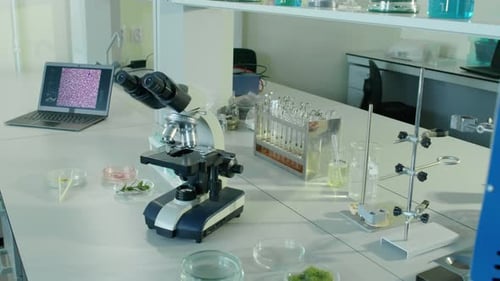 Microscope and Lab Equipment in Bright Laboratory