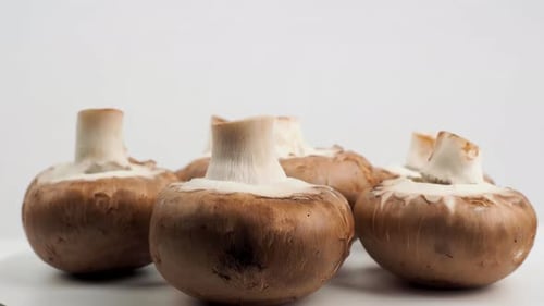 Fresh Brown Mushrooms Close Up on White Surface