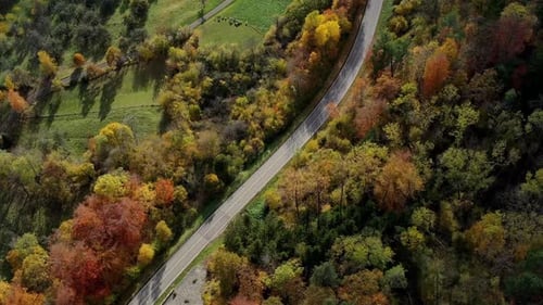 Aerial view of autumn trees on a sunny day in the Black Forest, Baar, Heuberg, Baden-Württemberg, Ge