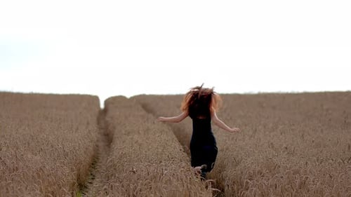 Rear View of Happy Girl in Black Dress Running Through Golden Wheat Field at Sunset