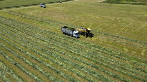 Industrielle Landwirtschaft