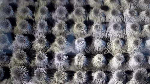 Ferromagnetic Particles of Metal Dance Gray Abstraction Ferromagnetism of Metal Particles and