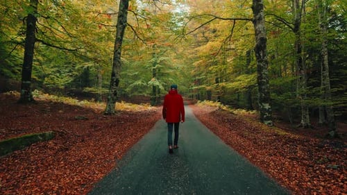 Man Walks In Autumn Woods