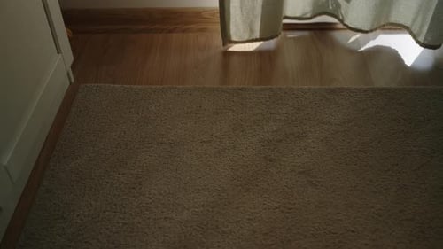 Sunlight and Shadows on Beige Shag Rug