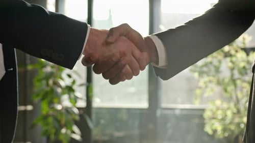 Closeup Male Office Corporate Handshaking