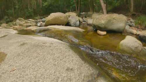 4K Forest Creek Running Along Riverbank into Mouth of River