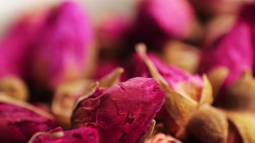 Dried Rose Bud Tea Texture Background Healthy Herbal Tea Macro Texture Close Up