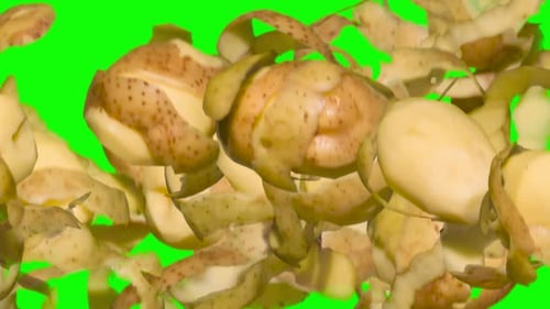 Potatoes And Skins In A Jump On Chroma Key
