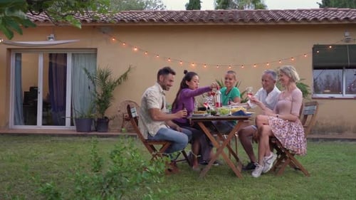 Friends Enjoying Wine at an Outdoor Lunch
