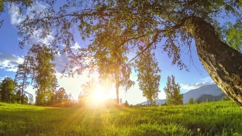 Mountain Meadow Timelapse at the Summer or Autumn Time Wild Nature and Rural Field Motorised Slider