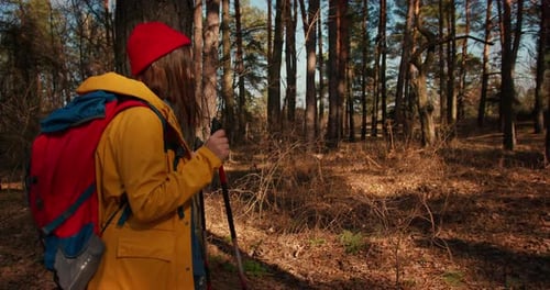 Backpacker Hiker Girl with Hiking Poles Walking Between Trees in a Mountain Forest Hispanic Teenager