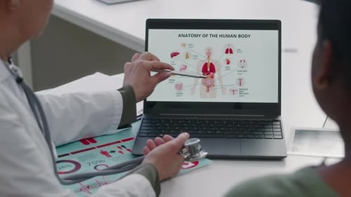 Medical Professional Explains Human Anatomy to Patient