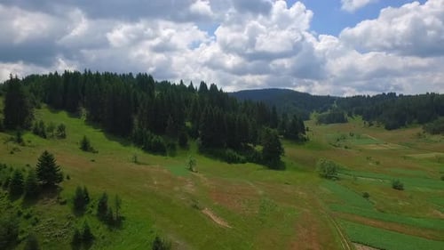 AERIAL: Flying above arable land in a mountainous area in summer.