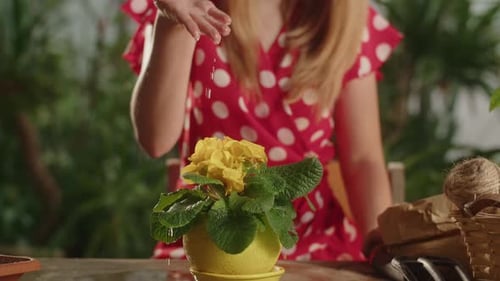 Girl in Red Dress Pouring Water on the Flower Partial View of a Blonde Woman Watering Houseplant