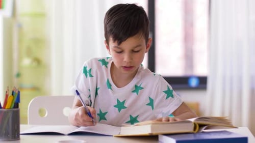 Focused Boy Studying and Writing at Home