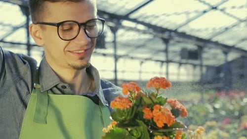 Young Handsome Male Florist Spraying Flowers in Greenhouses Close with a Happy Face and a Gardener