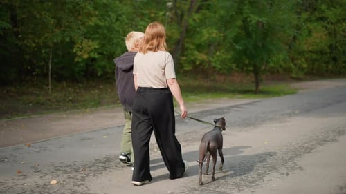 Child and Adult Walk Dog in the Park