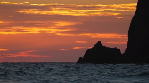 Sunset Ocean Birds Flying Over a Beautiful Seascape with Silhouetted Cliffs at Dusk