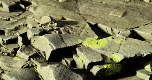 Unique Rock Formations with Vibrant Green Lichen in Natural Surroundings