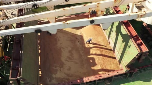Man Walks on Grain Pile in Cargo Ship