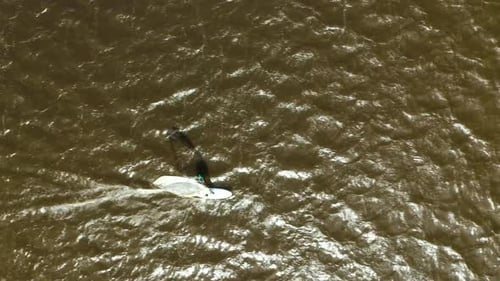 Recreational surfers going fast with their windsurf gear, sails, board over lake with nice wind on s