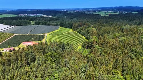 Approaching farmlands surrounded by the pine tree woods. Beautiful countryside of Germany