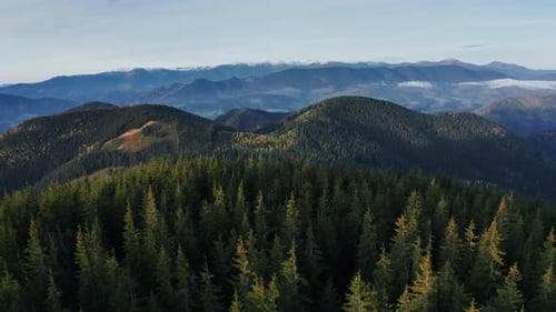 Aerial view of mountain forest in autumn.