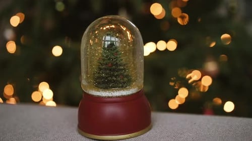 Christmas Gift
