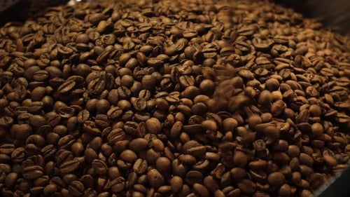 Close up shot of coffee beans are falling on each other different speads.