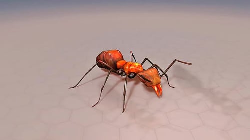 3D Ant Anatomy with Labeled Body Parts