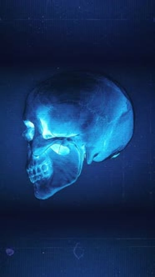 Medical Chart Skull 09