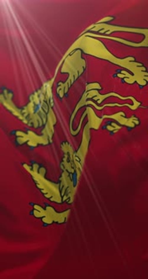 Waving Flag with Red and Gold Heraldic Lions