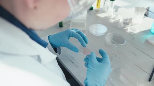 Scientist Examines Sample in a Petri Dish