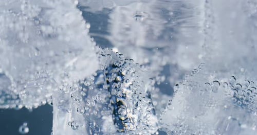 Bubbles on Ice Cubes Melting in Water