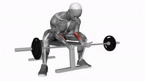 Barbell Wrist Curl Wide Legs fitness exercise workout animation video male muscle highlight 4K 60 fp
