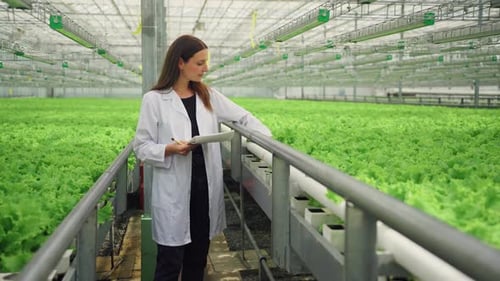Woman Examining Lettuce in Modern Greenhouse