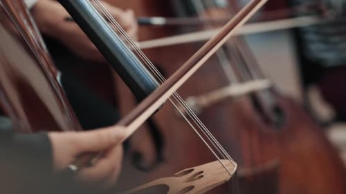 Close Up of Cellos Being Played
