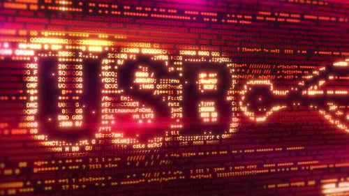 USB Letters Emerging From Program Code on a Computer Screen
